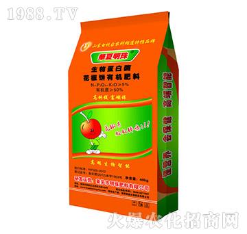 ������ЙC(j��)����-�������