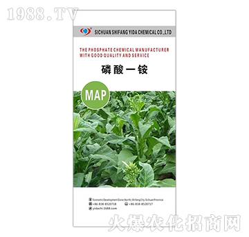 ����һ�@-�����_(d��)