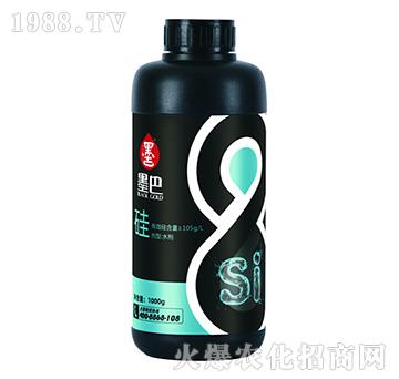 ī�͹�-������