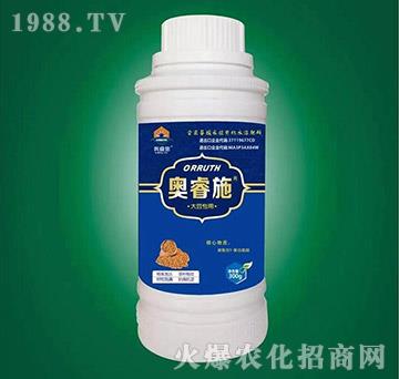 �󶹌����~���-�W�ʩ