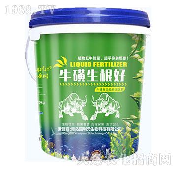 ����������-�@��Ԫ