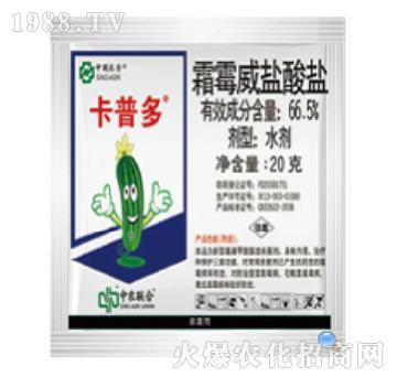 66.5%˪ù���}���}