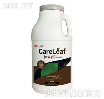 低聚糖酶菌肽-護(hù)禾彩-民德利華