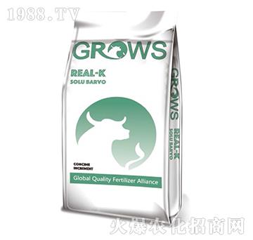 �W�ܷ�ϵ�У�����Ԫ�أ�-���_ʩ-��ʢ����