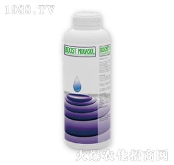 �����-����ϵ��-��ʢ����