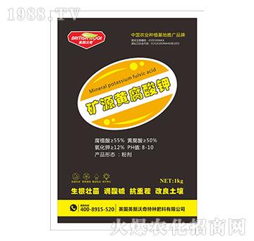 �VԴ�S�����-Ӣ������