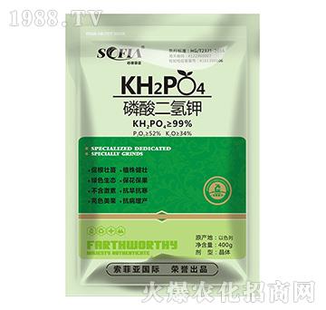 ��������-���Ɓ�