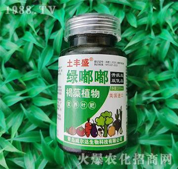 綠嘟嘟-土豐盛-威爾達