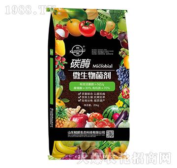 ̼ø��΢�������-�H�i���B(t��i)