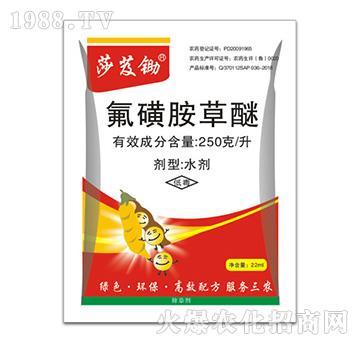 250��ÿ�����ǰ�����-ɯܸ�z-�ݵ�˹