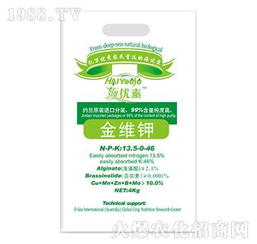 ��S�-�S������