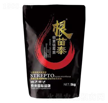 ��(x��)�S�ù��-����̩-̩���ʘI(y��)