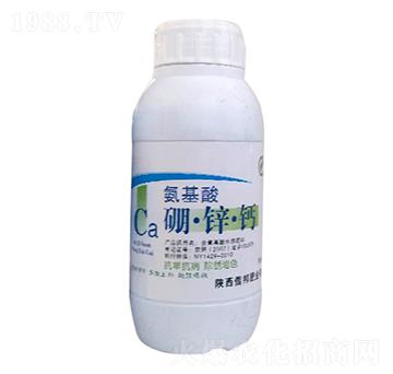 氨基酸硼鋅鈣-信邦肥業(yè)