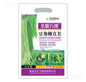 ������ֱ�L-ʥ���f��-