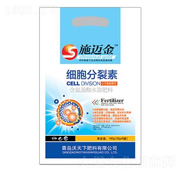 ����������-ʩ�~��-��