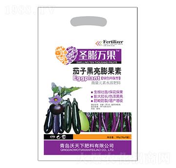 ���Ӻ��������-ʥ���f