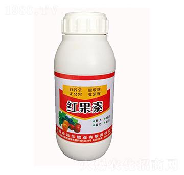 �t����-�֠��ʘI(y��)
