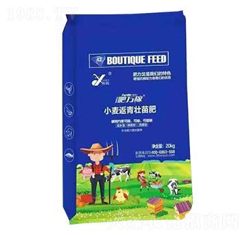 С�����������-���f��-꿾�