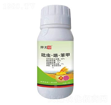 52%���x����������-��o��-���r����