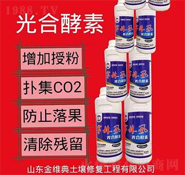 ��Ͻ���-�r(n��ng)���L(f��ng)-��S��