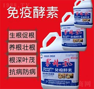 ���߽���-�r���L-��S��