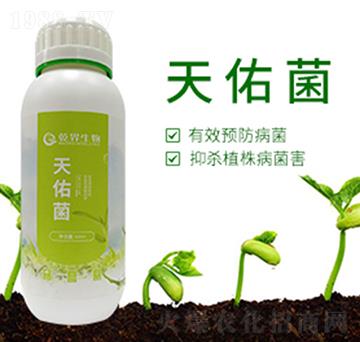 ���Ӿ�-Ǭ������