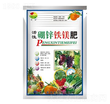 800g�������\�F�V��-���(bi��o)-��ػ���