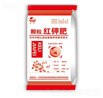 �w���t⛷�-���(bi��o)-��ػ���