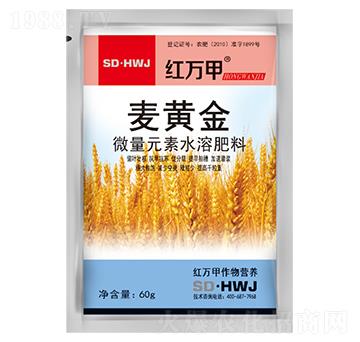 微量元素水溶肥料-麥黃金-紅萬(wàn)甲