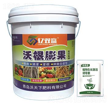 �ָ����-�|�p�A-����