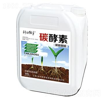 ̼����-�Z����