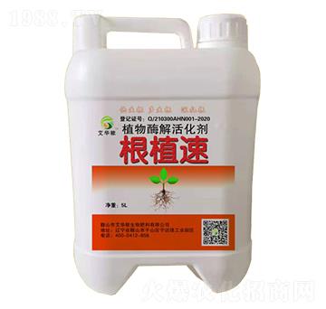 ֲ��ø����-��ֲ��-���A��