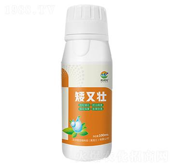 矮又壯-沃初元-沃爾優(yōu)