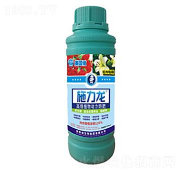 ���܌����~���-ʩ����