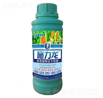 ���׌����~���-ʩ����