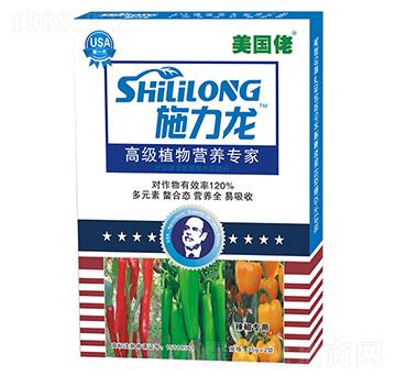 ���������������~���-ʩ����-�G����