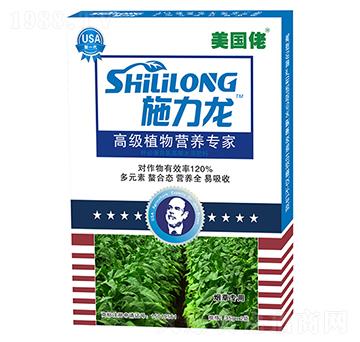 �����П��݌����~���-ʩ����-�G����