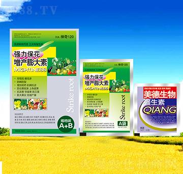 �������a(ch��n)�����-������