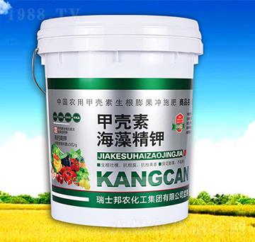 �ך��غ��徫�-������