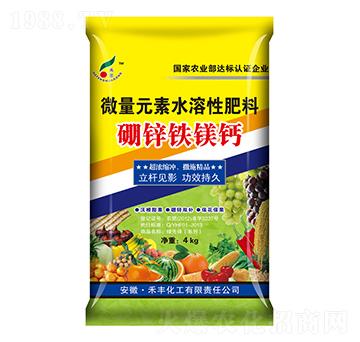 微量元素水溶肥料-硼鋅鐵鎂鈣-禾豐