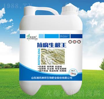 ����������-�������