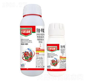 25%���S������-��������Ş-����������