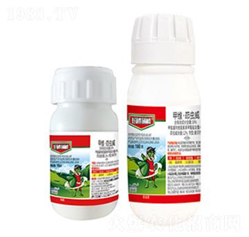 16%�׾S�����x��-������-����������