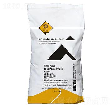 �ЙC���������-�t�հ���