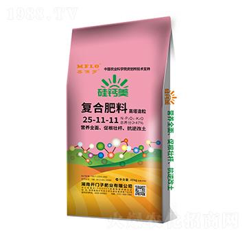 ���}����(f��)�Ϸ���25-11-11-�����_-�_(k��i)�T(m��n)��