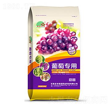 ���ь�(zhu��n)���������-ϣ���r(n��ng)�I(y��)