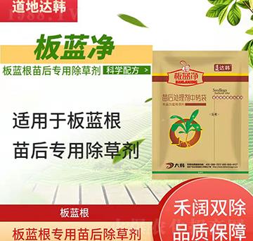 ���{�����݄�-���{����