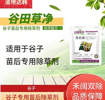 ���ӳ��݄�-�������-