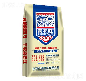 ��������+�S�����-