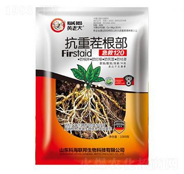 ���ز��������120-